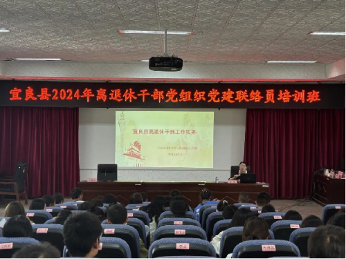 图片223