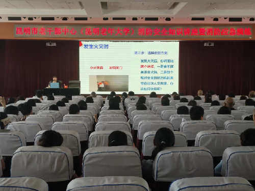 图片243