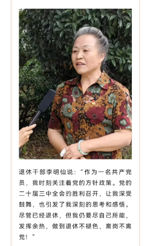 图片249