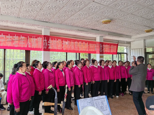 图片313